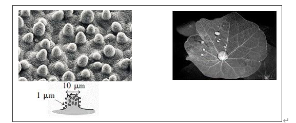 常州涂料網(wǎng)
