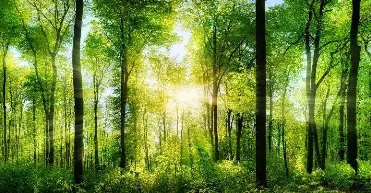 常州涂料網(wǎng)