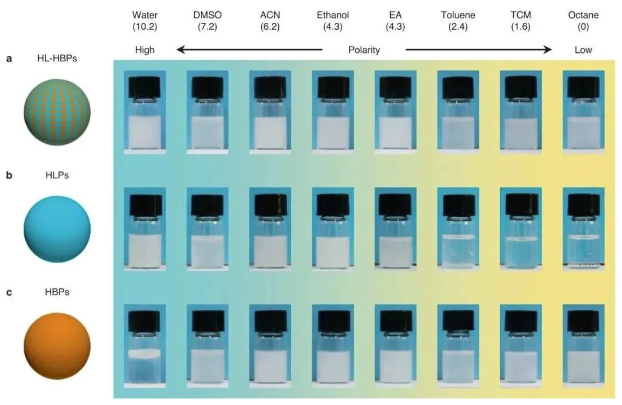 重磅！中科院采用親-疏異質(zhì)微球?qū)崿F(xiàn)從廢水中回收有機染料 中網(wǎng)行業(yè)信息網(wǎng)