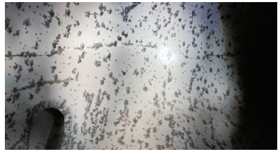 常州涂料網(wǎng) 常州涂料網(wǎng)